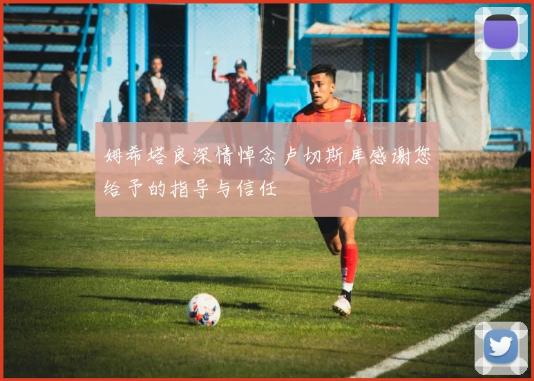 姆希塔良深情悼念卢切斯库感谢您给予的指导与信任